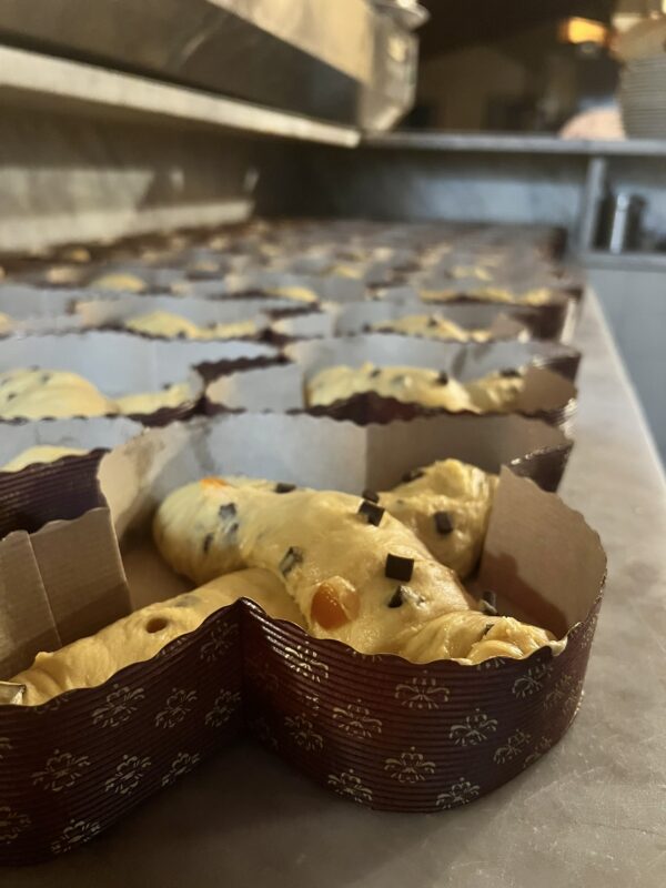 colomba artigianale negli stampi